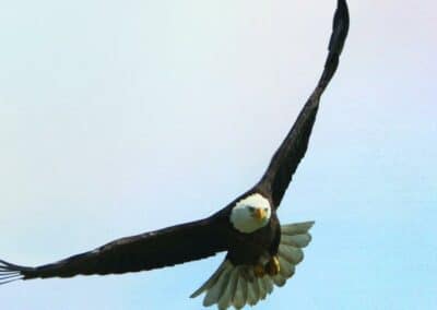 “Awakened Living: Finding Your Spiritual Balance in a Shifting World” – Day in ECK (in person seminar–Seattle)