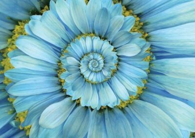 “A New Spiritual Cycle Begins” – A Post-Seminar Discussion” (online)