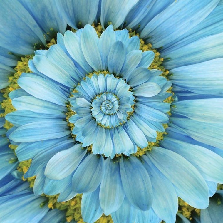 The Easy Way-A Spiritual Self-Discovery Course The Easy Way-A Spiritual Self-Discovery Course